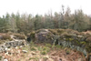 Broch