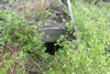 Ice House